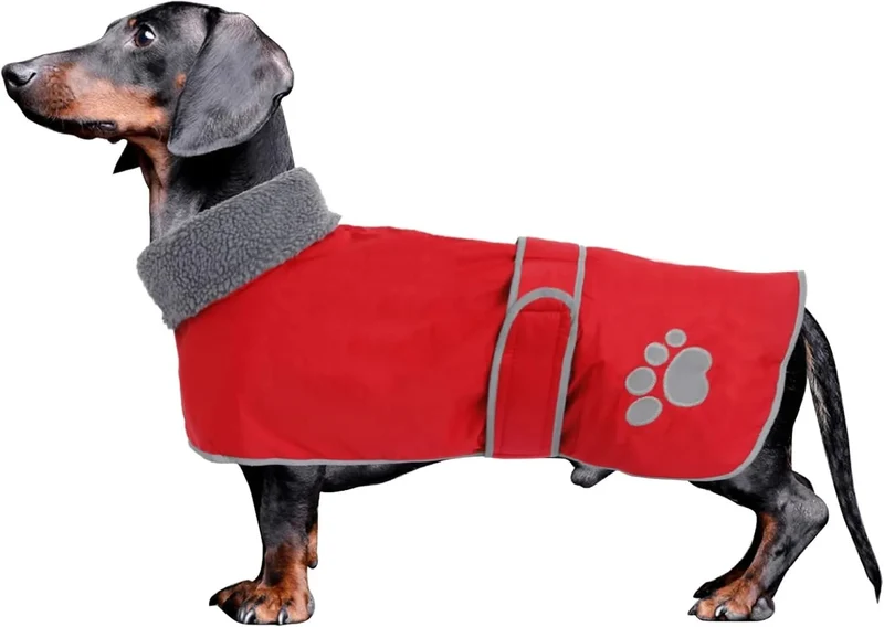 Casaco de inverno impermeável para cão salsicha, com forro polar quente e orifício arnês