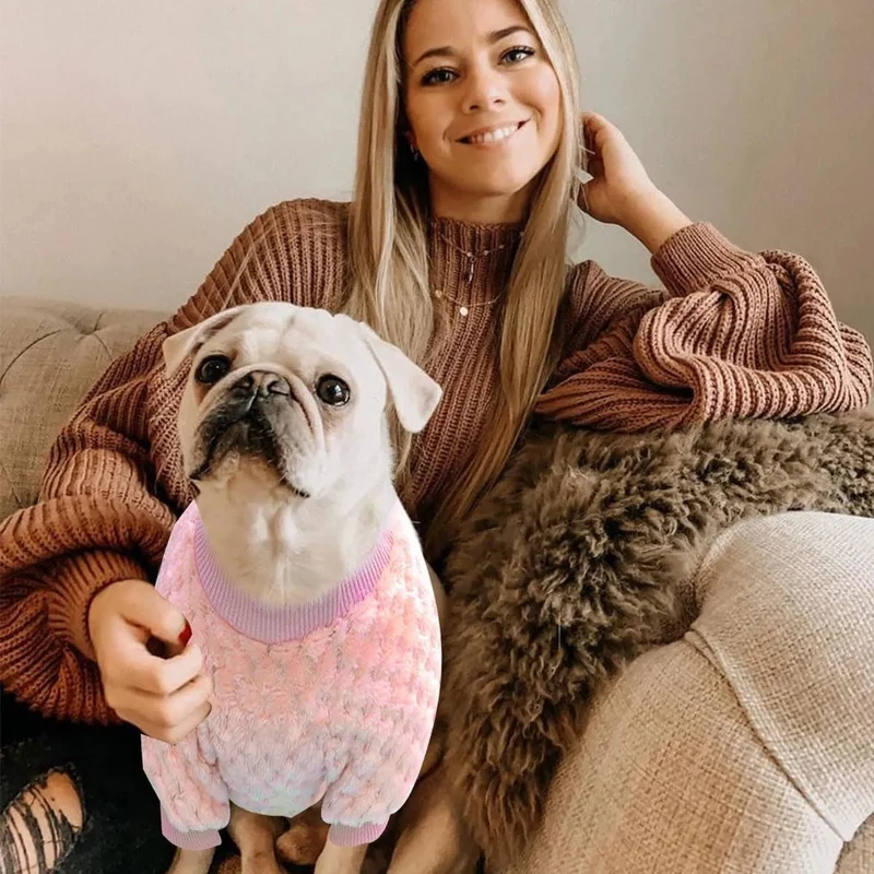 Camisola para Gato ou Cão Pequeno / Miniatura