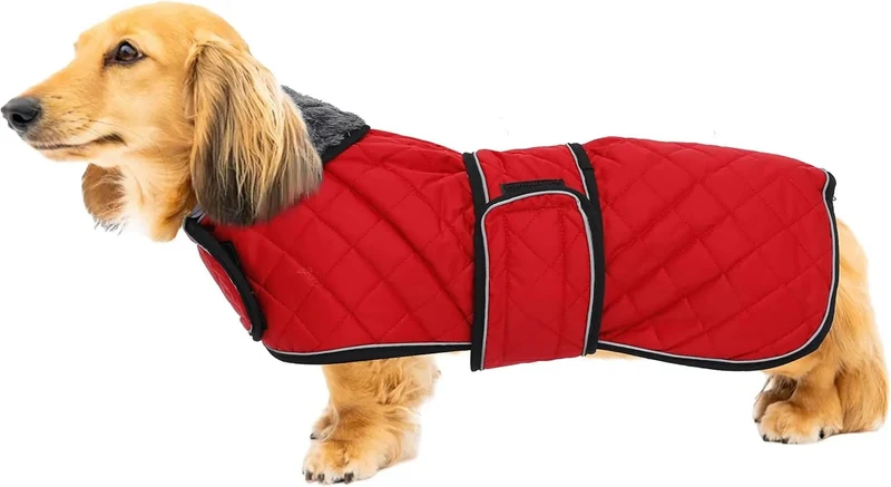 Casaco térmico de inverno para cão salsicha, com forro polar quente, impermeável, com faixas ajustáveis e orifício de arnês