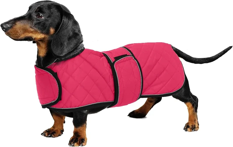 Casaco térmico de inverno para cão salsicha, com forro polar quente, impermeável, com faixas ajustáveis e orifício de arnês