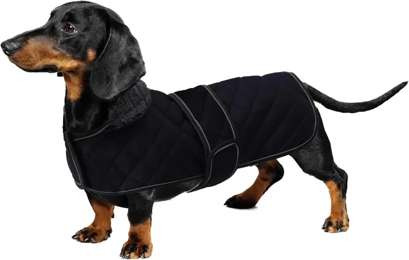 Casaco térmico de inverno para cão salsicha, com forro polar quente, impermeável, com faixas ajustáveis e orifício de arnês