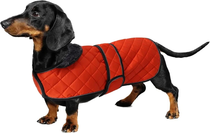 Casaco térmico de inverno para cão salsicha, com forro polar quente, impermeável, com faixas ajustáveis e orifício de arnês