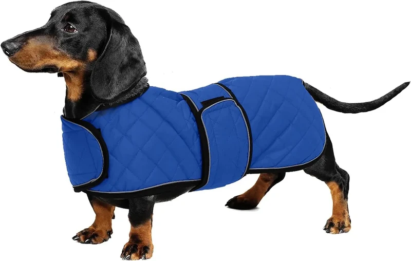 Casaco térmico de inverno para cão salsicha, com forro polar quente, impermeável, com faixas ajustáveis e orifício de arnês