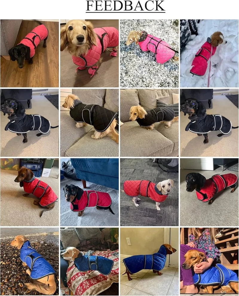 Casaco térmico de inverno para cão salsicha, com forro polar quente, impermeável, com faixas ajustáveis e orifício de arnês