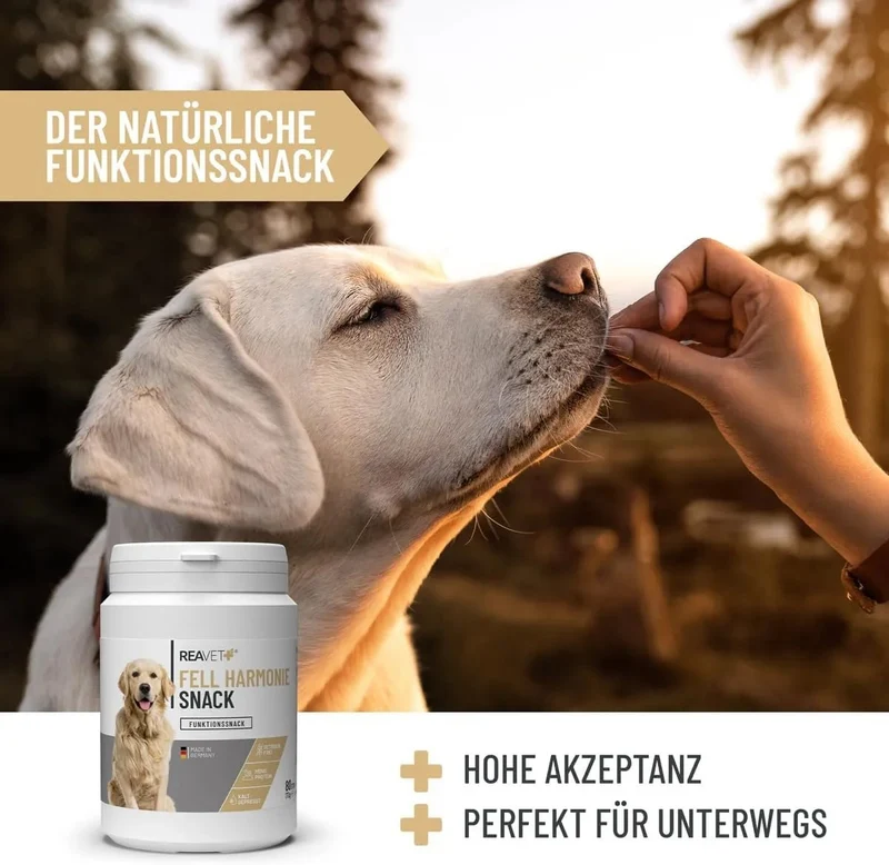ReaVET Snacks com Ómega-3 para cães I para uma pele saudável e pelagem brilhante I anti-comichão, queda de pelo, mudança de pelagem - com óleo de salmão, ácidos gordos e ómega-3 I Guloseimas para cães sem cereais e sem açúcar