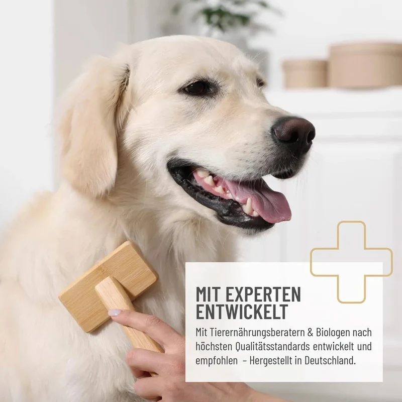 ReaVET Snacks com Ómega-3 para cães I para uma pele saudável e pelagem brilhante I anti-comichão, queda de pelo, mudança de pelagem - com óleo de salmão, ácidos gordos e ómega-3 I Guloseimas para cães sem cereais e sem açúcar