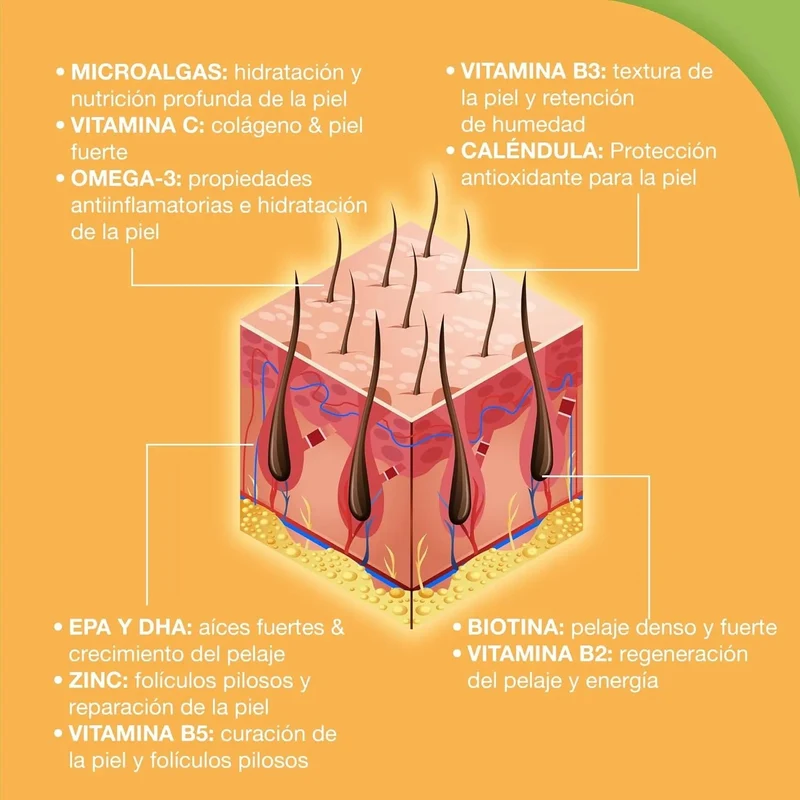 Snacks Paawy para Pêlo Brilhante - suplemento alimentar com ômega 3, biotina e zinco para o pêlo - ajuda na comichão, perda de pêlo e alergias