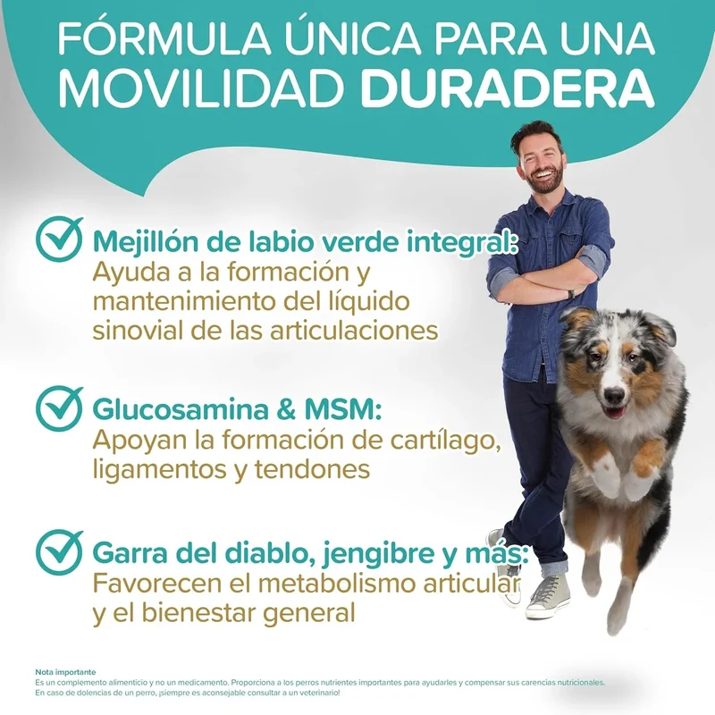 Condroprotetor para Cães com Mexilhão de Lábio Verde, Glucosamina e MSM | Natureflow