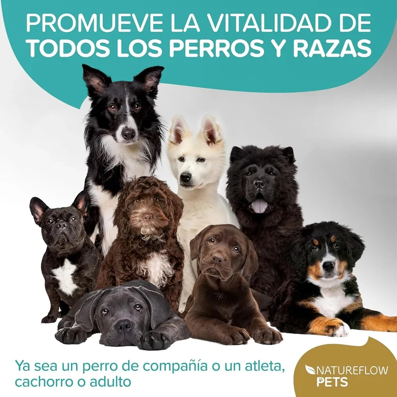 Condroprotetor para Cães com Mexilhão de Lábio Verde, Glucosamina e MSM | Natureflow