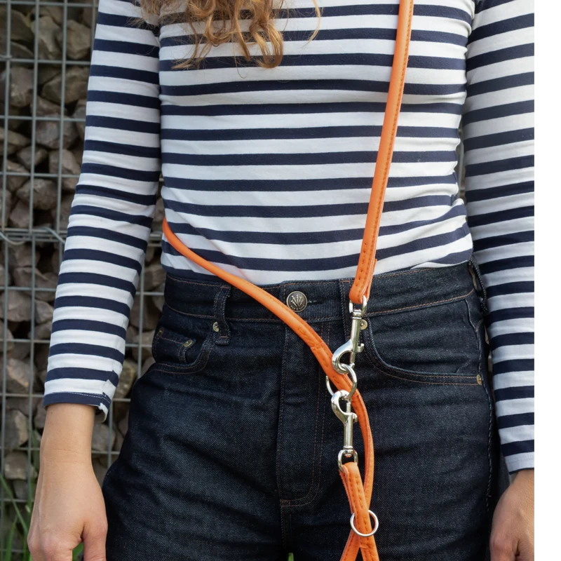 Lederleine Colorful