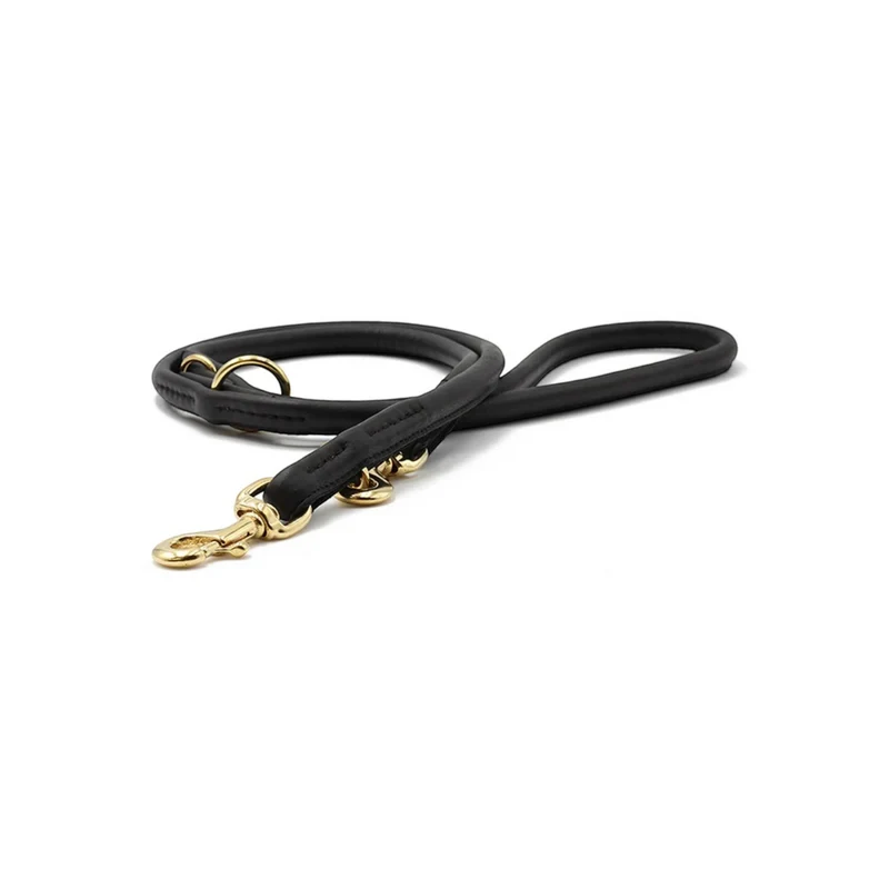 Lederleine Rund Gold