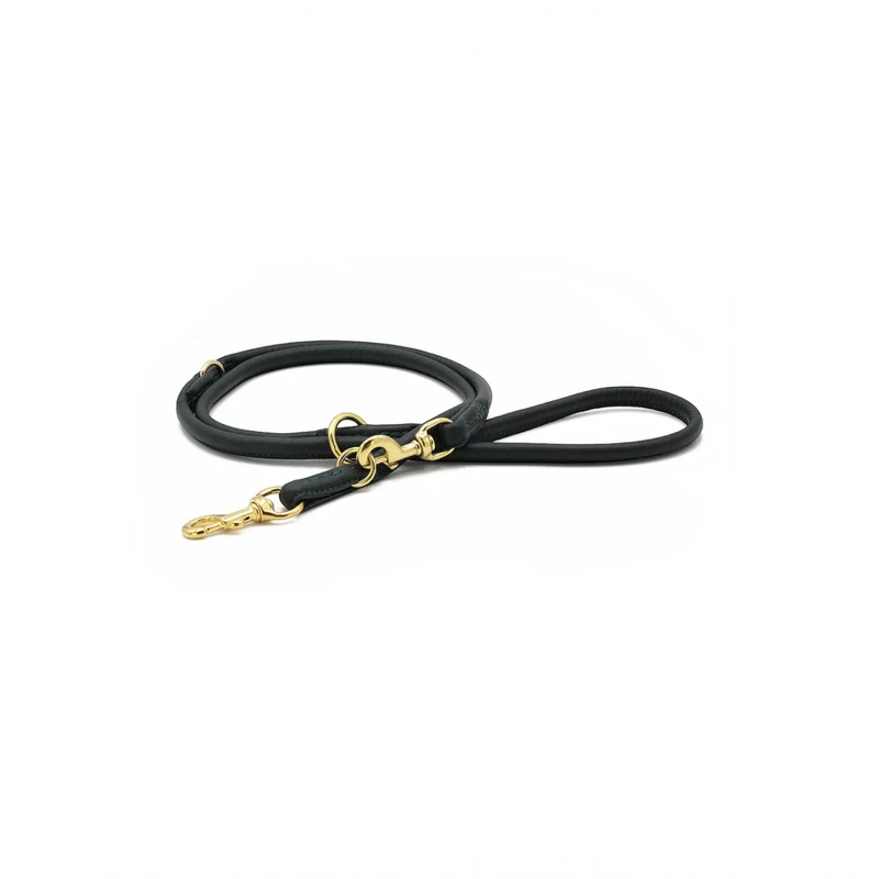 Lederleine Rund Gold