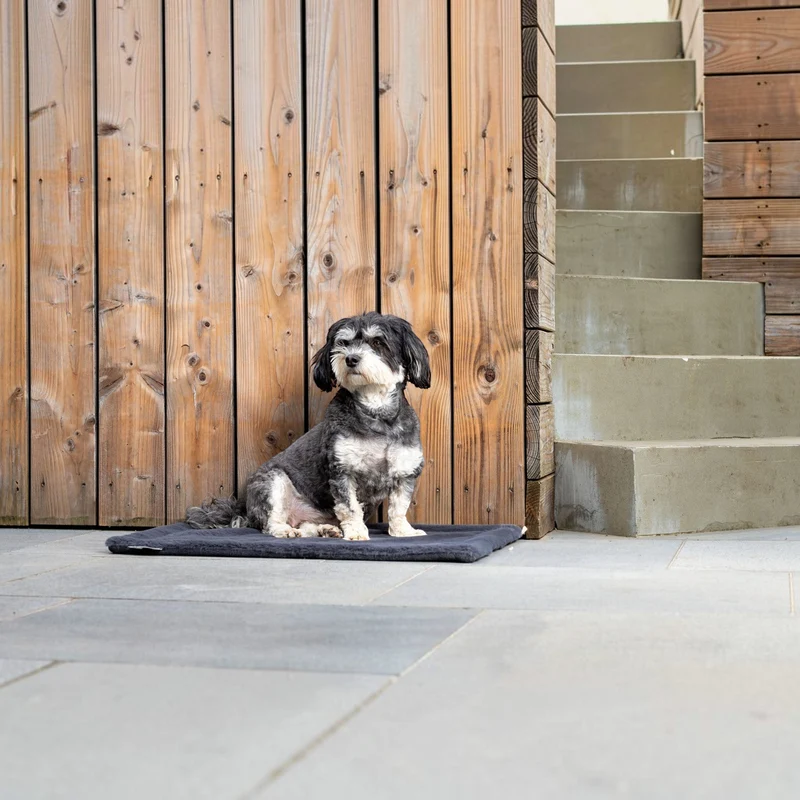 Hundedecke Webpelz