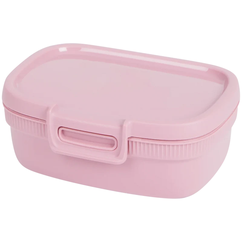 Curver Snackdose 400 ml | 10 x 13 x 5 cm | verschiedene Farben
