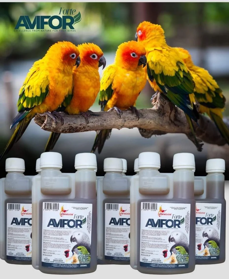 Avifor Forte 500 ml (2 x 250 ml) – Ornizin – für alle Vögel und Tauben – ausreichend für 500 l Wasser