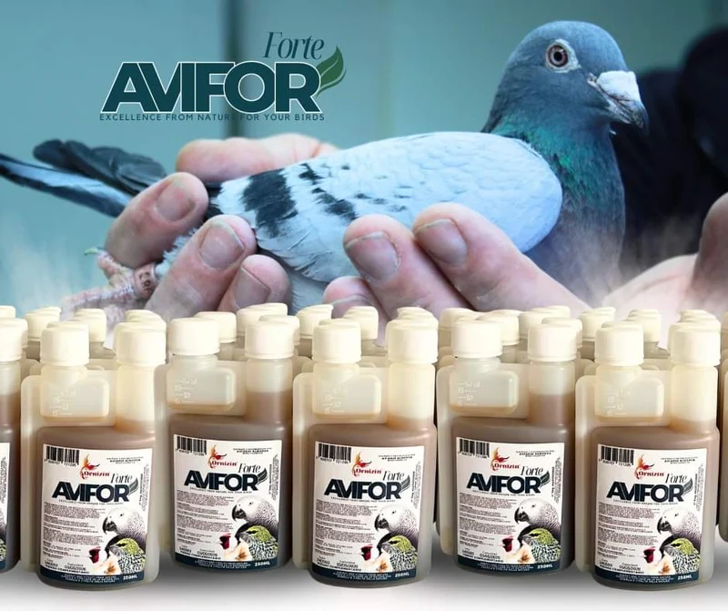 Avifor Forte 500 ml (2 x 250 ml) – Ornizin – für alle Vögel und Tauben – ausreichend für 500 l Wasser