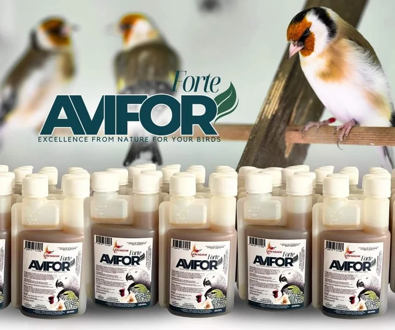 Avifor Forte 500 ml (2 x 250 ml) – Ornizin – für alle Vögel und Tauben – ausreichend für 500 l Wasser