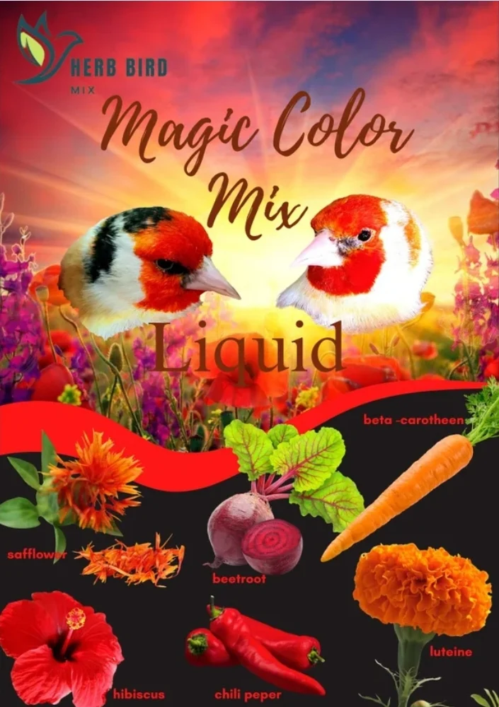 Magic Color Mix Liquid 300 ml – Kräuter-Vogel-Mischung