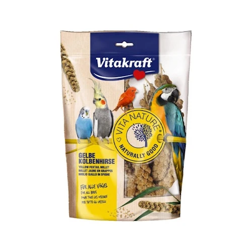 VITA NATURE Hirsespray 100 Gramm