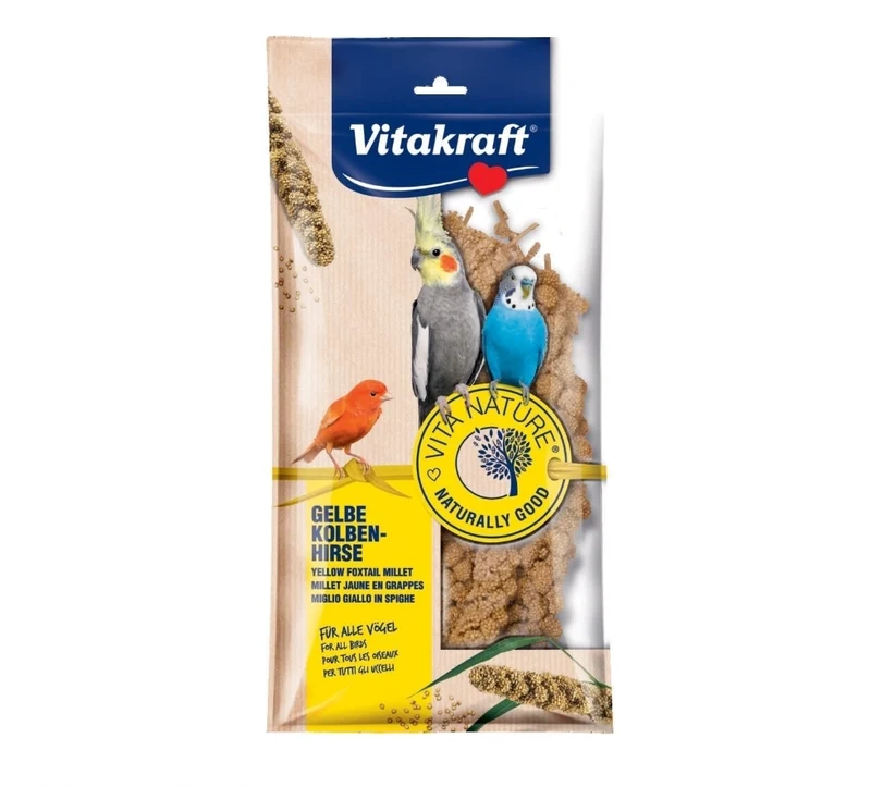 VITA NATURE Hirsespray 100 Gramm