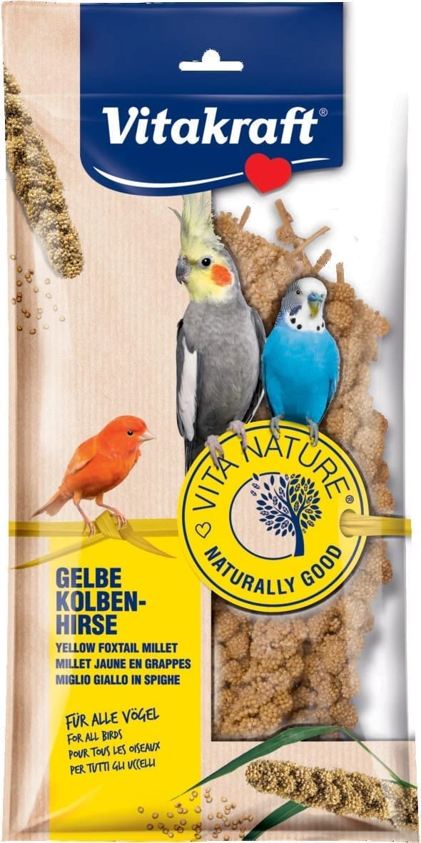 VITA NATURE Hirsespray 100 Gramm