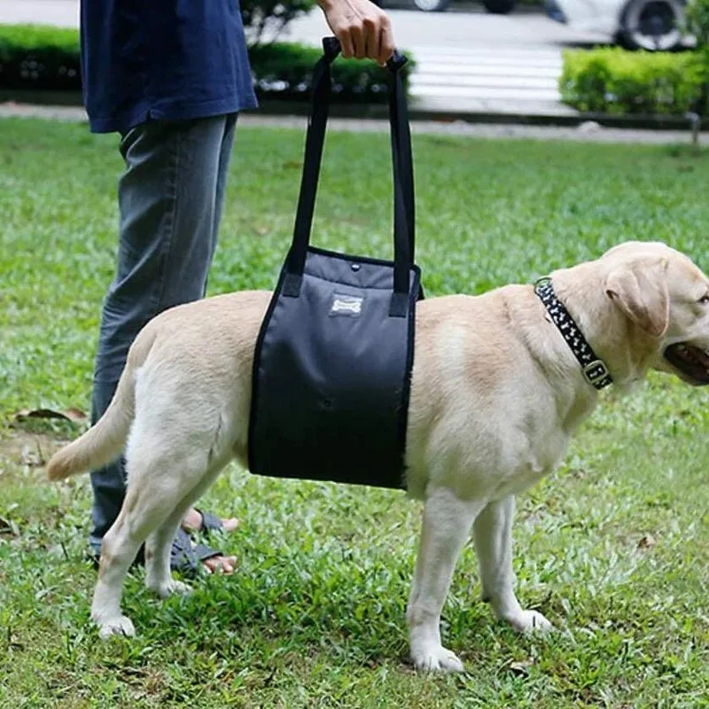 Arnês de reabilitação de apoio para cães - ajuda auxiliar para animais idosos ou com lesões