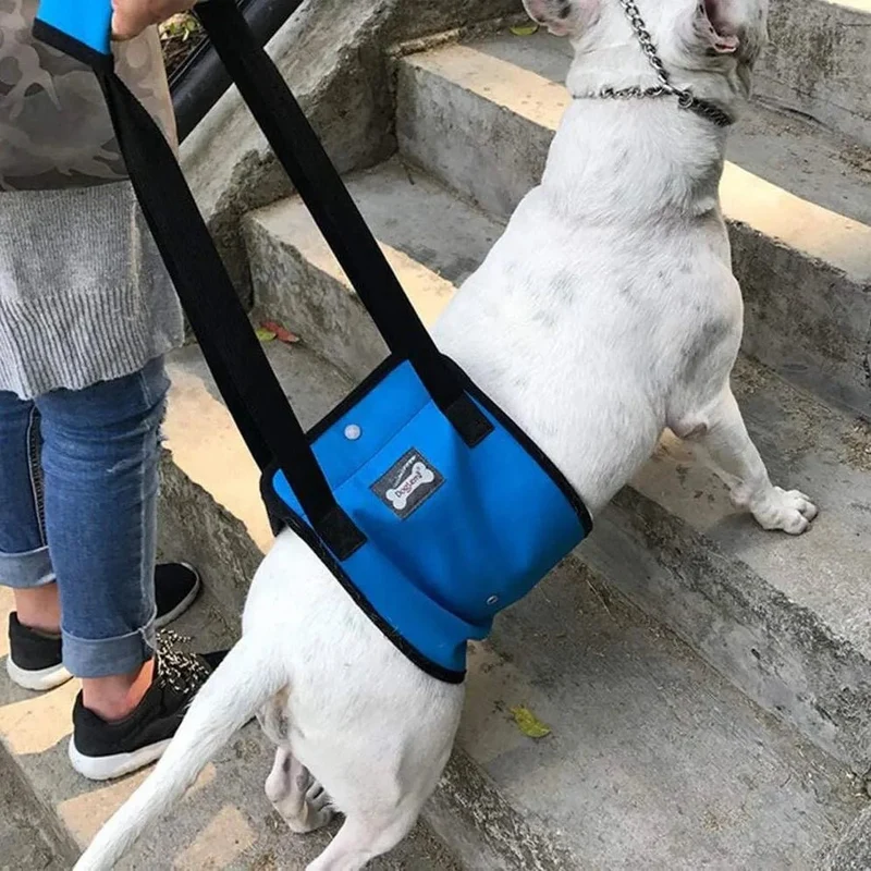Arnês de reabilitação de apoio para cães - ajuda auxiliar para animais idosos ou com lesões