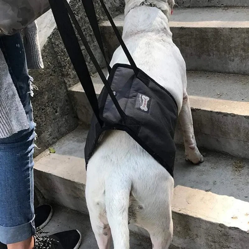 Arnês de reabilitação de apoio para cães - ajuda auxiliar para animais idosos ou com lesões