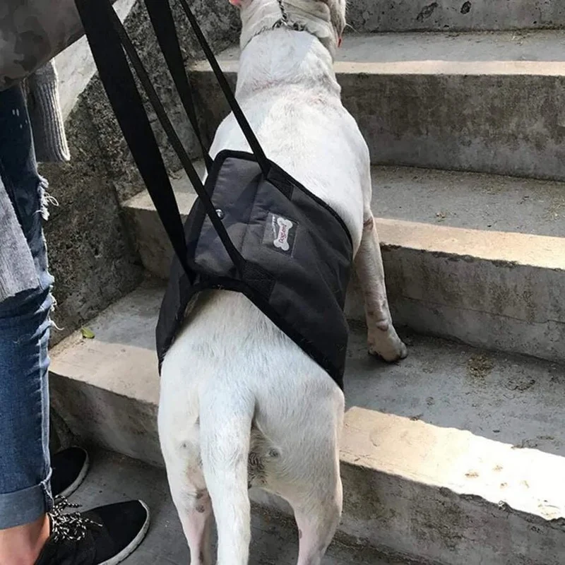 Arnês de reabilitação de apoio para cães - ajuda auxiliar para animais idosos ou com lesões