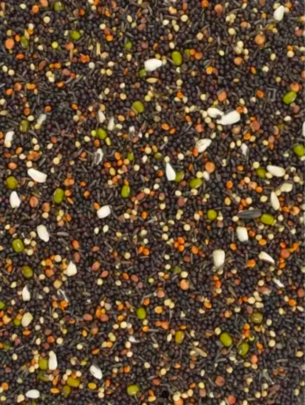 Keimsaat 5 kg – Kanarienvögel und Finken – Bird-X