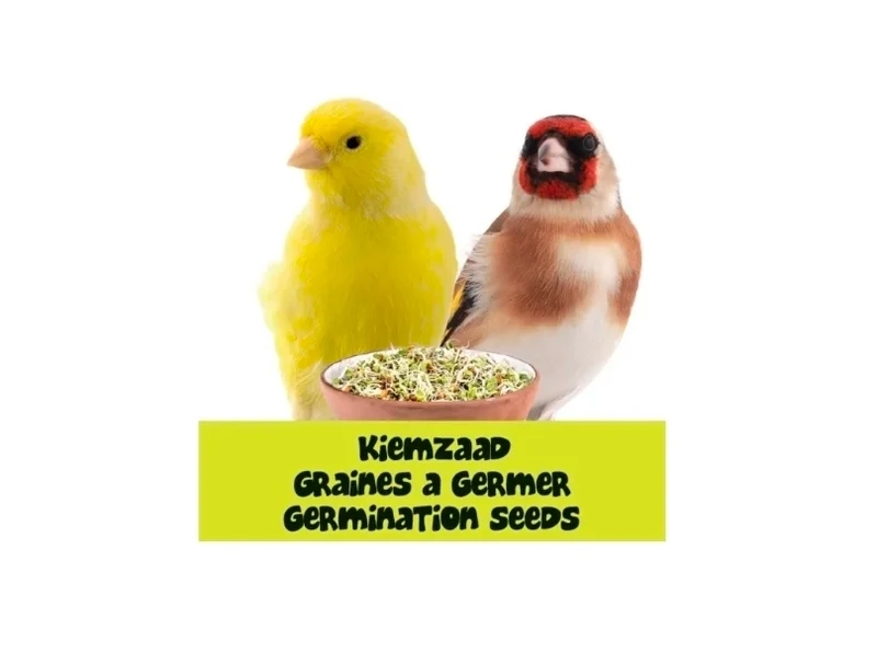 Keimsaat 5 kg – Kanarienvögel und Finken – Bird-X