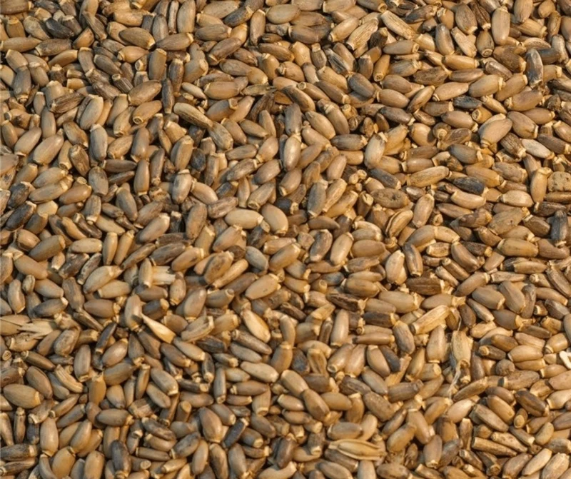 Mariendistelsamen 2 kg + 1 kg GRATIS
