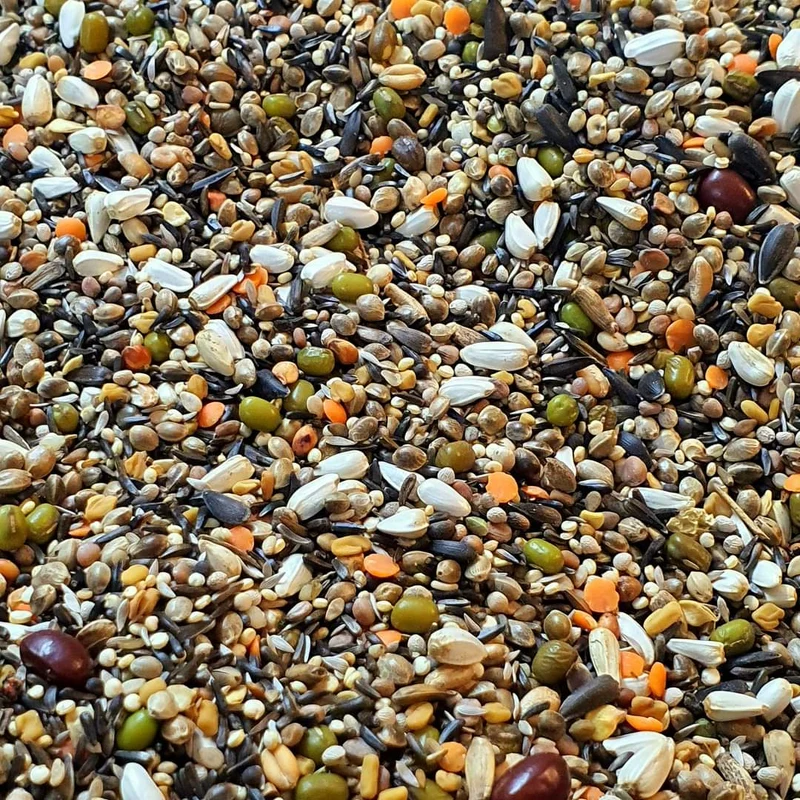 Keimsaatmischung 20kg - 41 Samen - Kräuter-Vogel-Mix