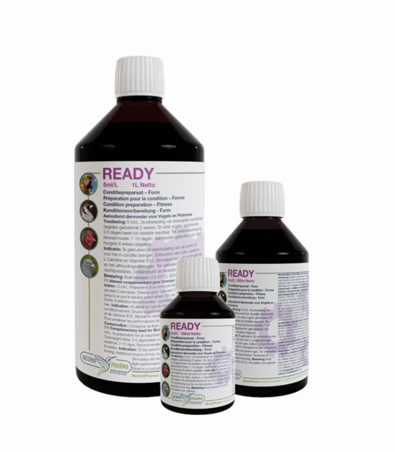 Ready 100ml (Extra Energieschub, Vit B12, L-Carnitin) - Neornipharma