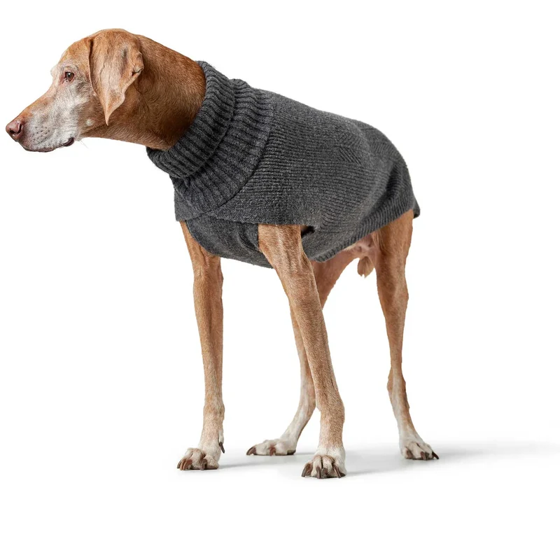 Hundepullover Genf anthrazit