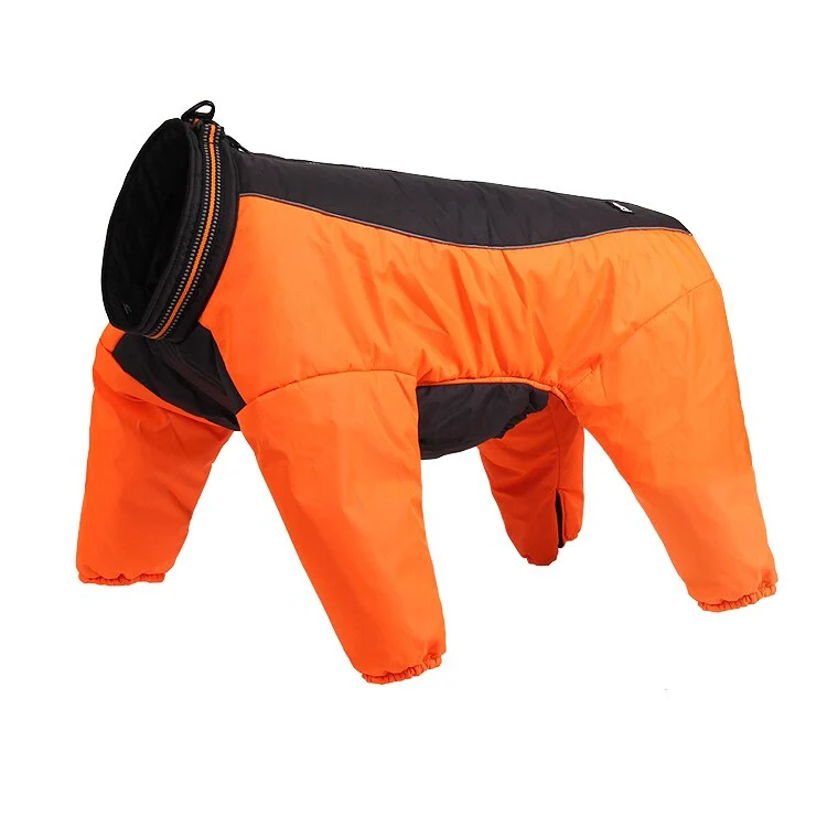Hundejacke für kalte Tage - Ihr Begleiter für Outdoor-Abenteuer!