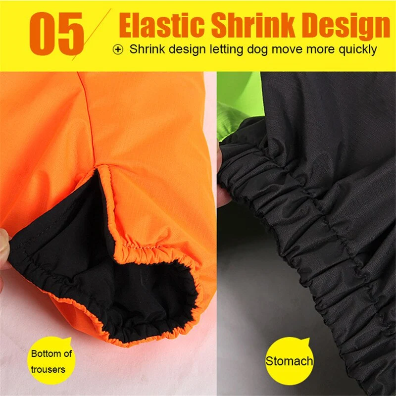 Hundejacke für kalte Tage - Ihr Begleiter für Outdoor-Abenteuer!