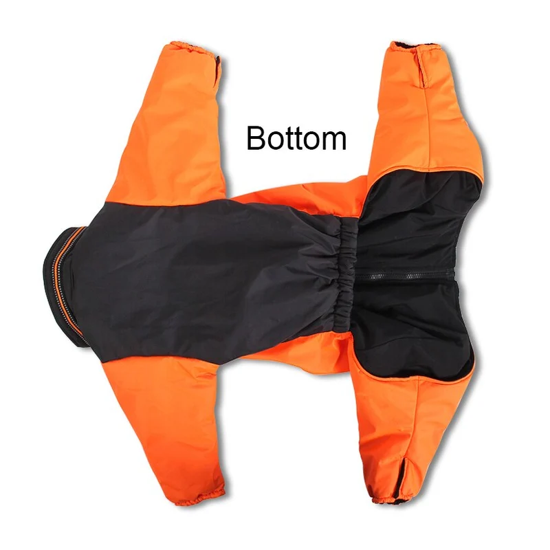Hundejacke für kalte Tage - Ihr Begleiter für Outdoor-Abenteuer!