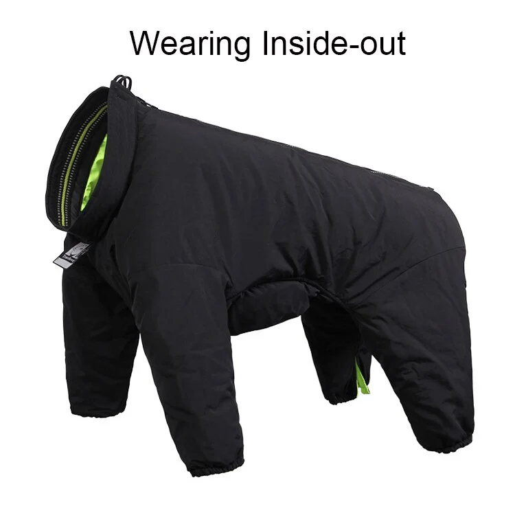 Hundejacke für kalte Tage - Ihr Begleiter für Outdoor-Abenteuer!