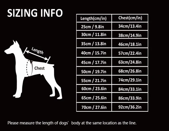 Hundejacke für kalte Tage - Ihr Begleiter für Outdoor-Abenteuer!