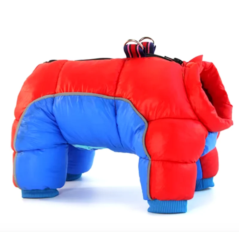 Hundewinterjacke "Alle Farben"