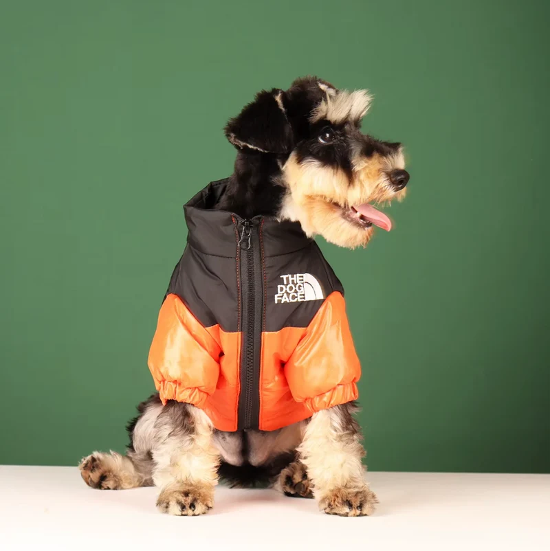 Hundewinterjacke "FOUR"