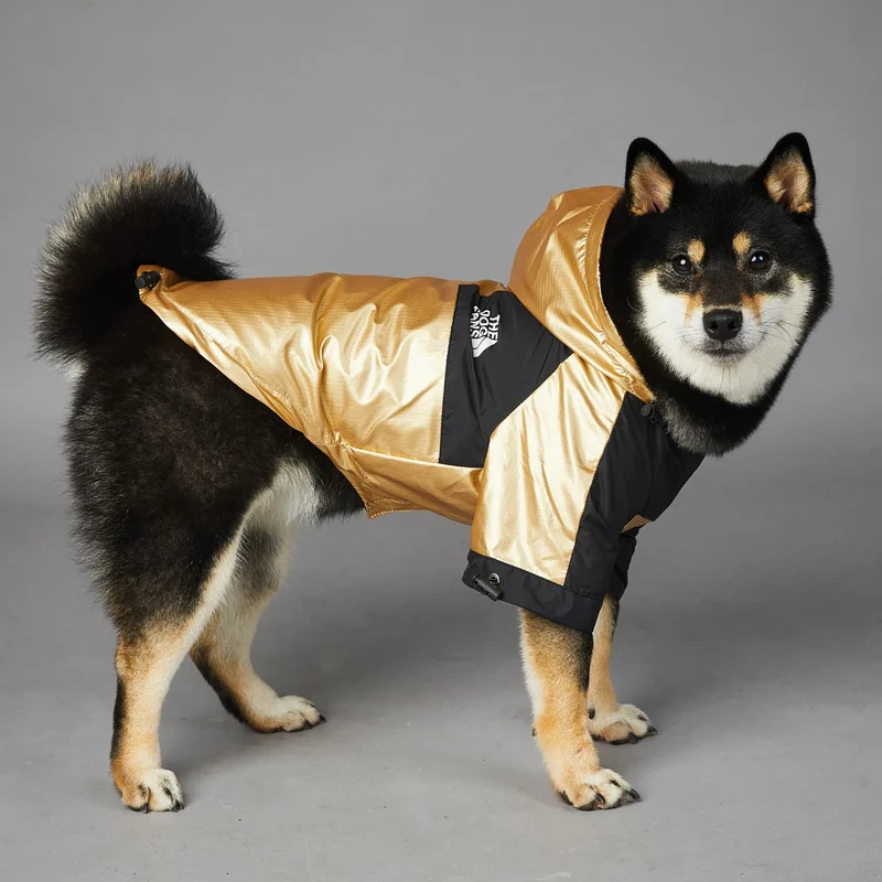 Hundejacke mit Kapuze "Gold"