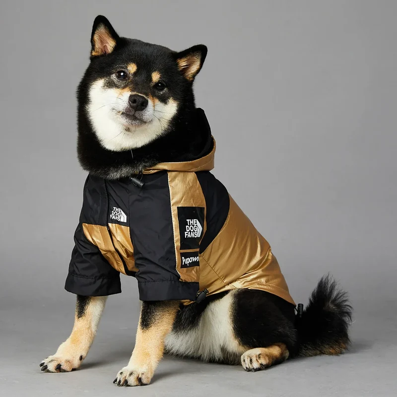 Hundejacke mit Kapuze "Gold"