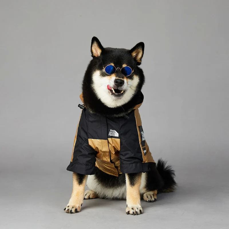Hundejacke mit Kapuze "Gold"