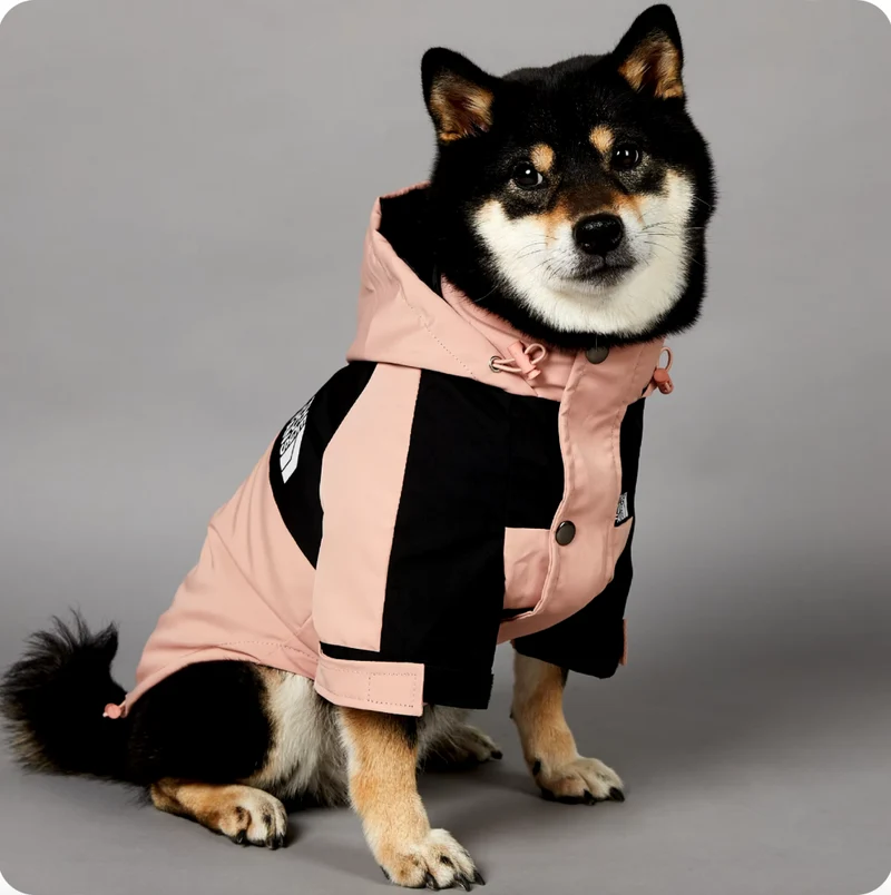 Hunderegenjacke