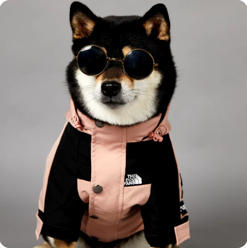 Hunderegenjacke
