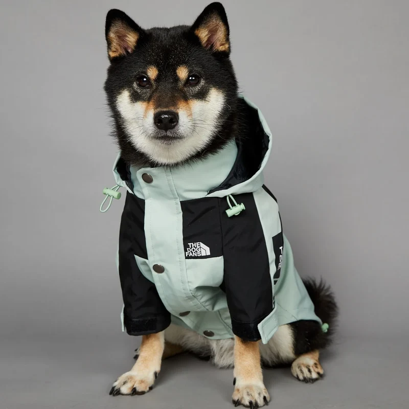 Hunderegenjacke