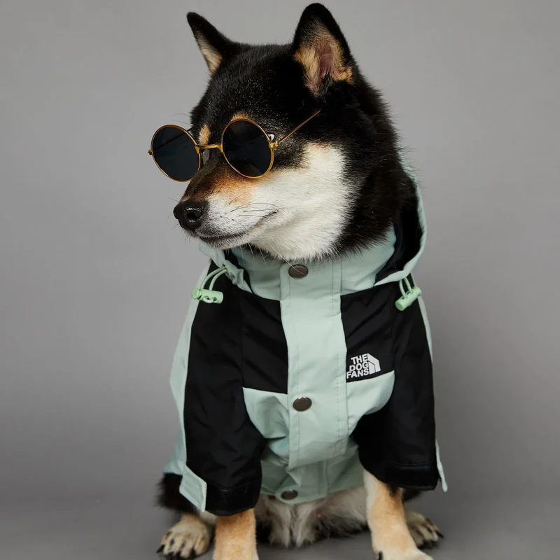 Hunderegenjacke