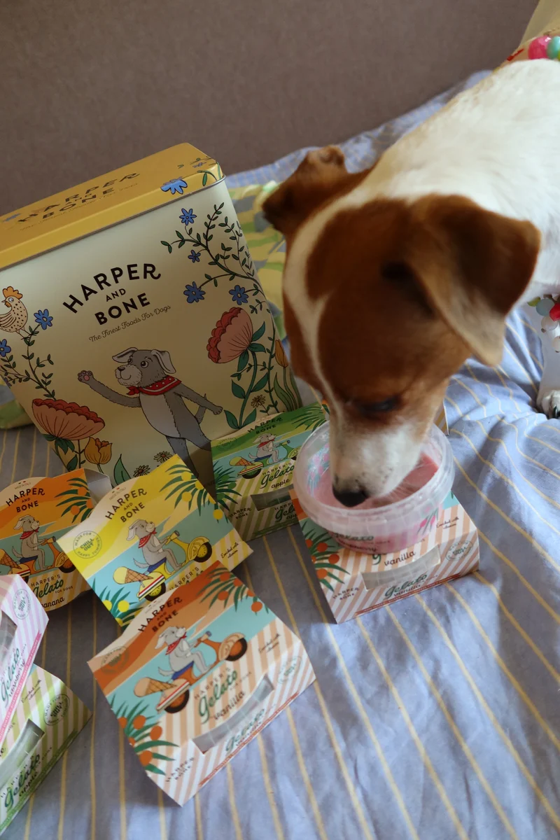 Harper's Gelato